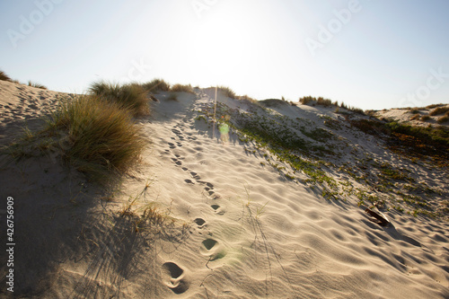 Oxnard, Ca, Ventura County, California, Southern California, Travel, day, sunset, Sunny,Dune, Coast,Sand, Foot print, Beach,Sand,