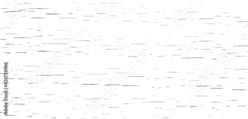 Subtle white wood texture background of distressed beech grain. Cool light grey natural wooden texture wallpaper. Birch bark pattern. Vector EPS10.