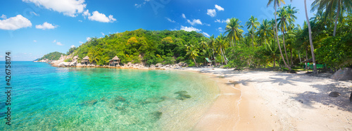 Panorama of tropical beach with coconut palm tree © Alexander Ozerov