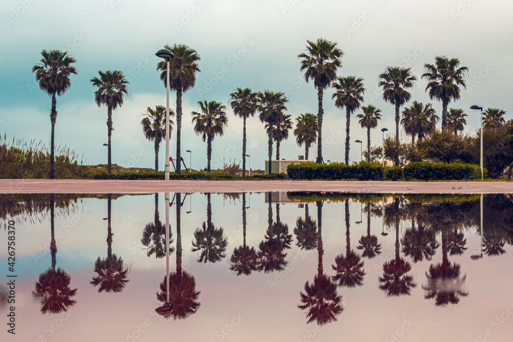 Landscape of some palm trees, with their reflection in a pool of water, with a cloudy sky