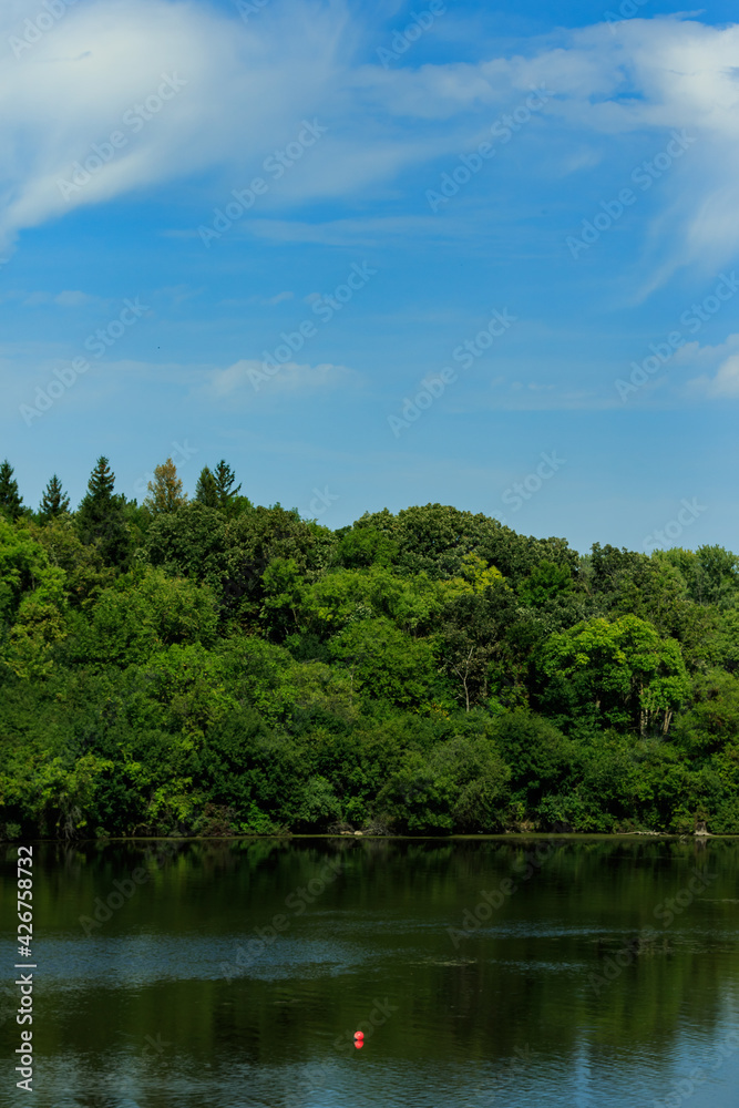 vertical shot across a lake with the blue sky and full-grown green trees
