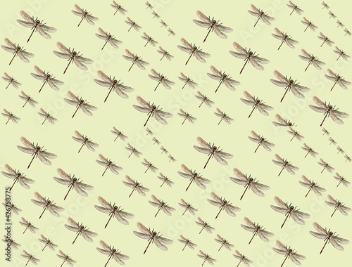 patrones de insectos y escarabajos para telas y tarjetas insect and beetle patterns for fabrics and cards