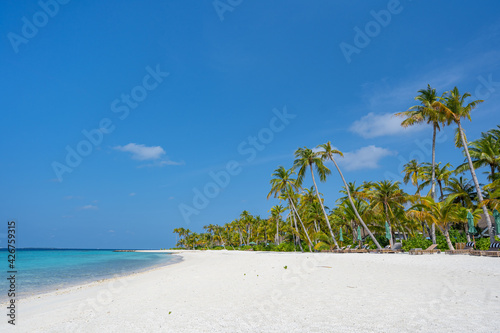 Traumhafter Strand mit vielen Palmen und Sonnenliegen auf einer Insel auf den Malediven  im Hintergrund blauer Himmel