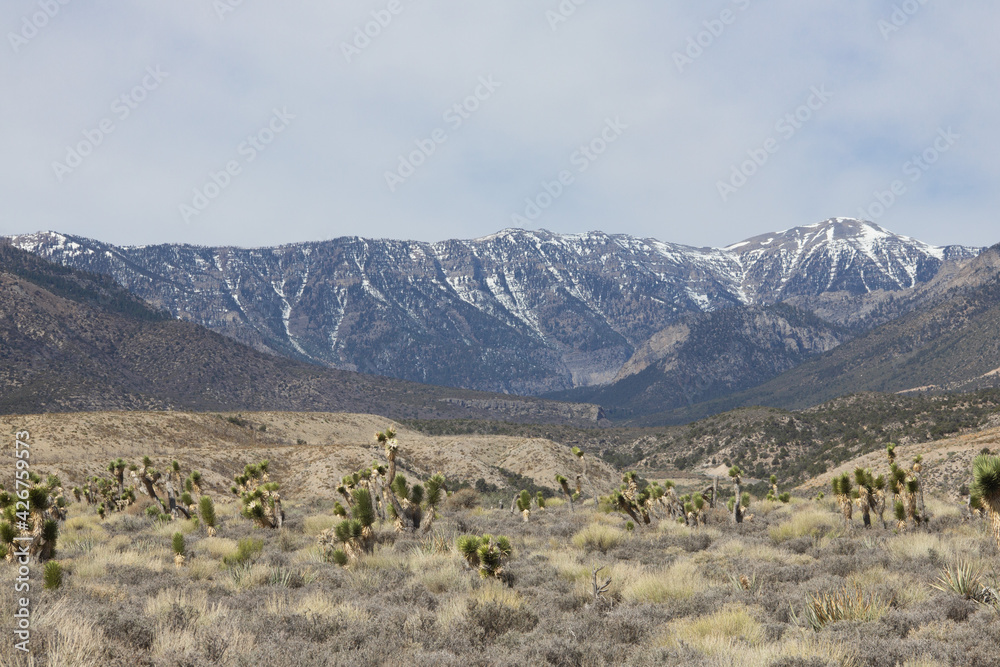 Landscape desert mountain
