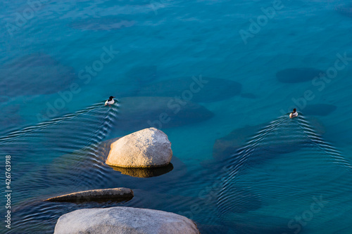 Patterns in Clear Water photo