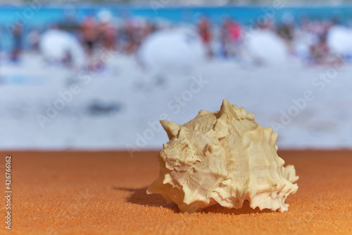 A shell on towel with blurred sea on the background.