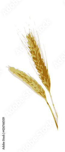 Spighe di grano