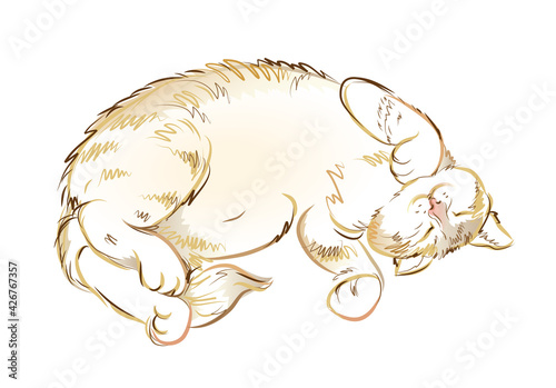 Illustration of satisfied sleeping cat. Digital drawing. Printable sketch of domestic animal. Modern print for fashionable fabric, textile, decoration, embroidery, tattoo. Hand-drawn vector.