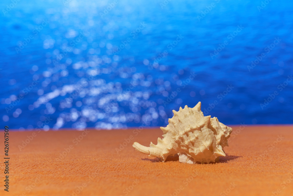A shell on towel with blurred sea on the background. A shell on towel with blurred sea on the background.