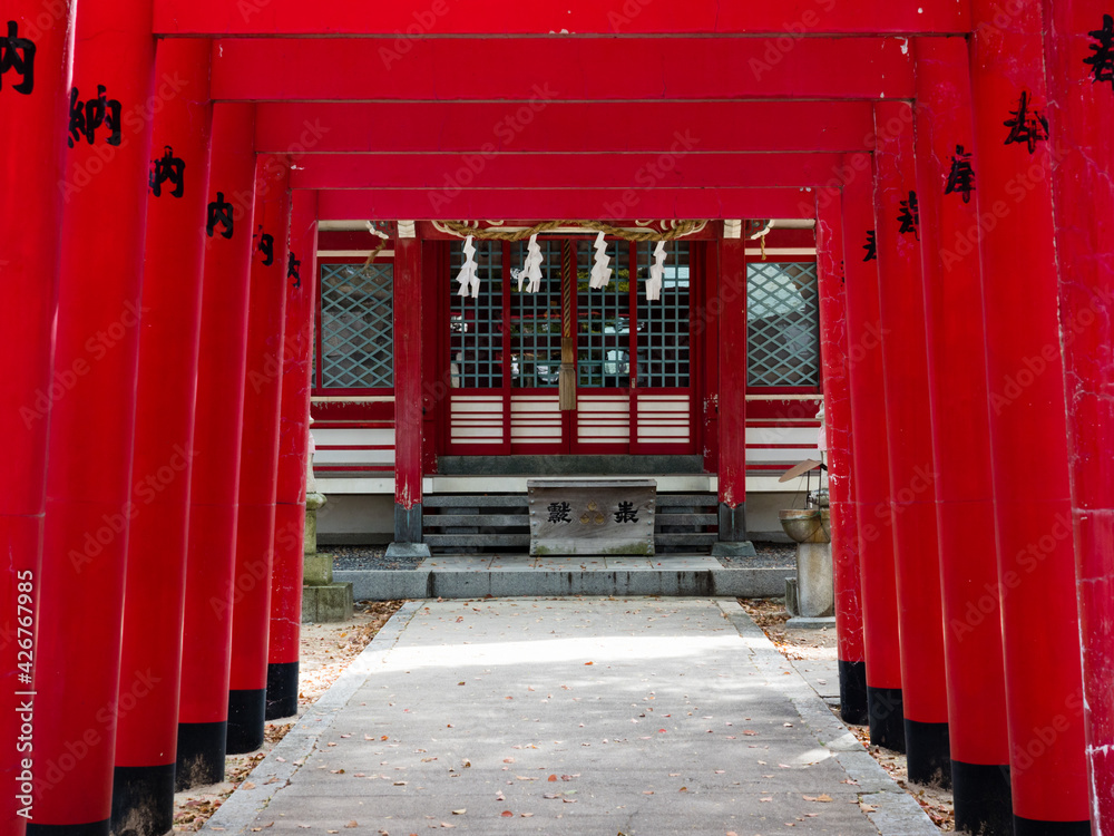 Fototapeta premium Red torii gates of Inari Jinja on the grounds of Bekku Oyamazumi shrine - Imabari, Japan