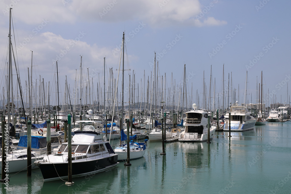 Fototapeta premium Auckland Neuseeland / Auckland New Zealand /