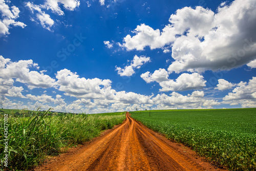 country road. beautiful rural landscape  