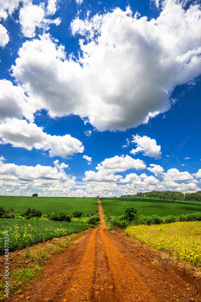 country road. beautiful rural landscape
country road. beautiful rural landscape
