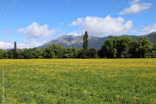 Neuseeland - Landschaft / New Zealand - Landscape