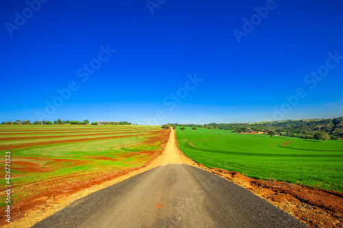 country road. beautiful rural landscape  