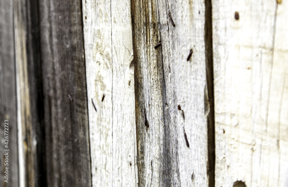 Obraz premium Wooden planks background