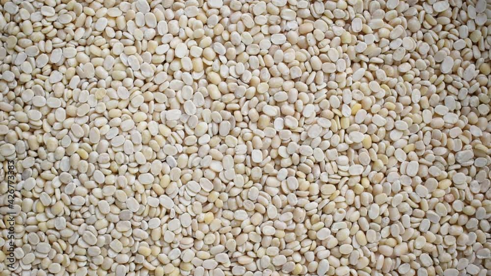 Raw split dried white Urad lentils Raw split dried white Urad lentils