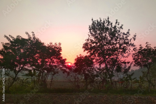 Reddish sunrise lurking among the trees © Pam's