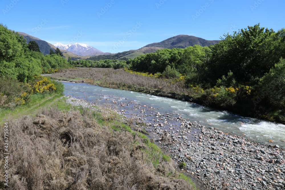 Neuseeland - Landschaft mit Taylors Stream / New Zealand - Landscape with Taylors Stream