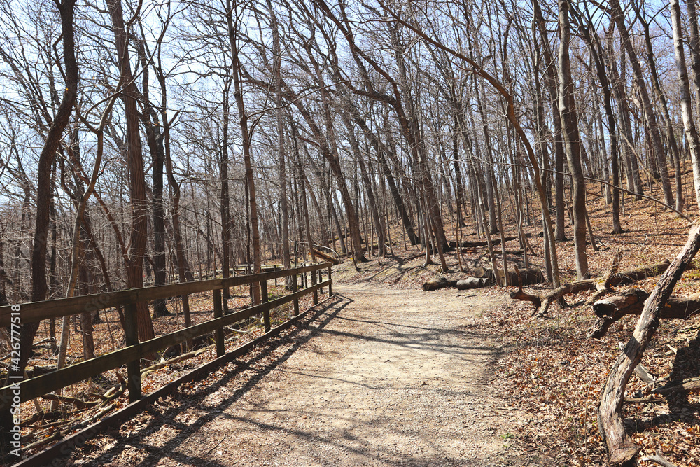 Forest trail. Scenic panoramic view of the Canyon in National Park, in the State of Illinois, USA. Mountain hiking trail.