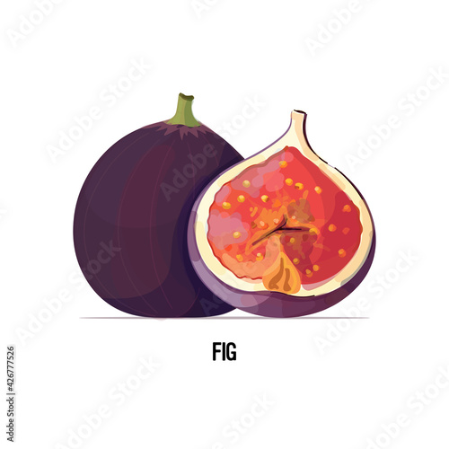 fresh juicy fig icon tasty ripe fruit berry isolated on white background healthy food concept