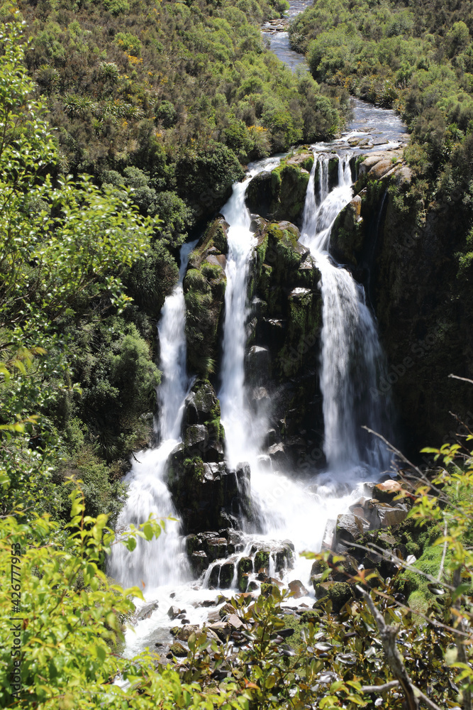 Fototapeta premium Waipunga Wasserfall / Waipunga Falls /