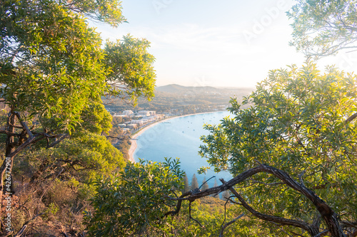 View of the bay through the leaves