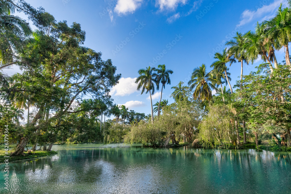 Cuban tropical landscape in 'San Jose del Lago', Mayajigua, Sancti Spiritus, Cuba