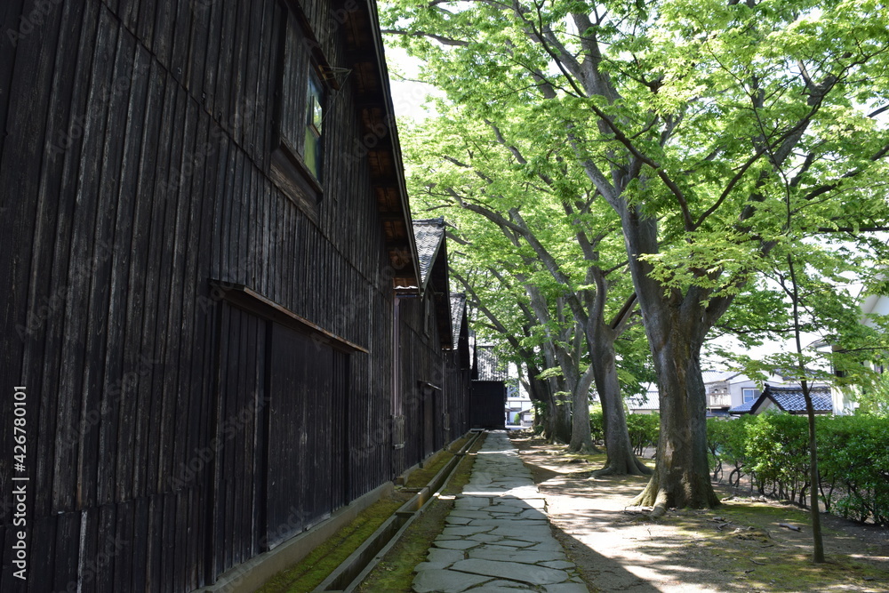 山居倉庫（さんきょそうこ）／ 日本有数の米どころ、山形県庄内のシンボル「山居倉庫」は、明治26年(1893)に建てられ、現在も現役の米保管倉庫です。白壁、土蔵づくり９棟からなる倉庫の米の収容能力は10,800トン(18万俵)です。夏の高温防止のために背後にケヤキ並木を配し、内部の湿気防止には二重屋根にするなど、自然を利用した先人の知恵が生かされた低温倉庫です。