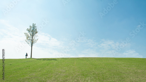 single tree and a girl  field and blue sky