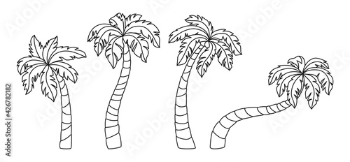 Coconut palm tree doodle cartoon set. Tropical black line palm trees design element. Hand drawn tree with leaves, mature and young plants of tropical forest. Isolated on white vector illustration