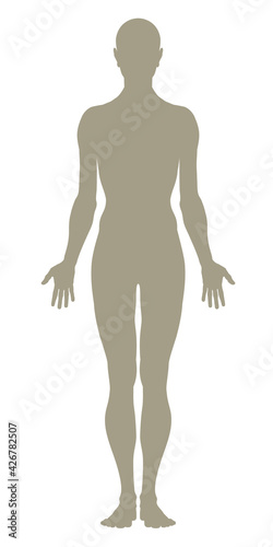 Model of the human body. Hand drawn gender-neutral figure, silhouette on isolated background, front view. Flat vector, EPS 8
