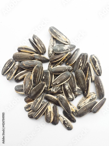sunflower seed on white paper