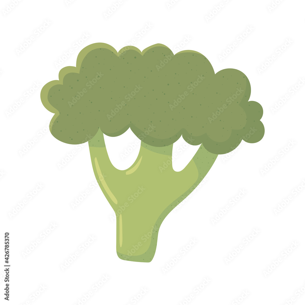 broccoli fresh vegetable