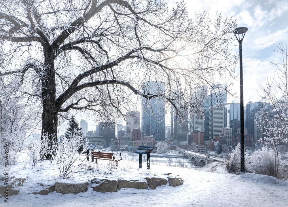 Frosty winter day in Calgary city park with cityscape view from bench.