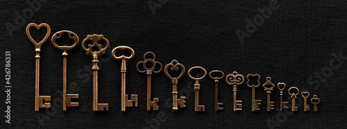 Photography Row of ornate skeleton keys