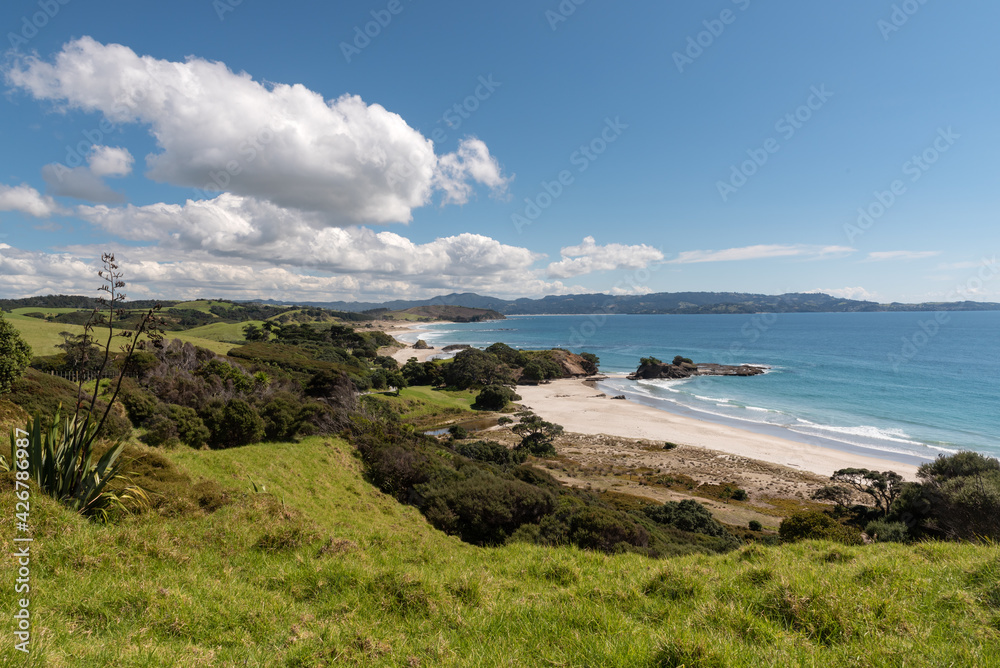 An elevated view on a beautiful, sunny, summer's day at the deserted, sandy beach at Anchor Bay, Tawharanui Regional Park, Auckland, New Zealand.