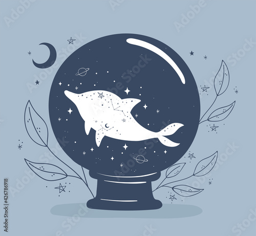 dolphin ball astrology