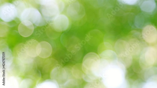 Beautiful blurry green and blue nature background, Sunlight shining through the leaves of trees, Natural blurred background, Abstract nature background, nature green bokeh