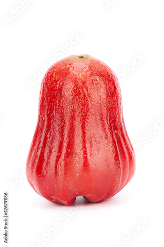 One whole Java apple on white background, isolated, Syzygium samarangense