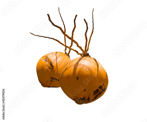 bunch of yellow coconuts isolatde on white background