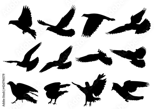 Set of silhouettes of pigeons Bird fly 002