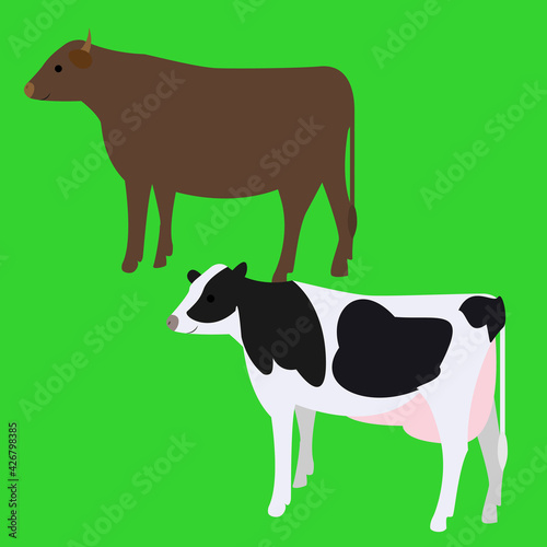肉牛と乳牛のイラスト Cows illustration