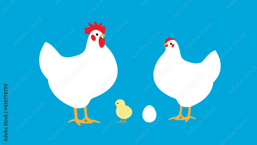 ニワトリの家族 雄鶏 雌鶏 ヒヨコ 卵 のイラスト Chicken Family Stock Illustration Adobe Stock