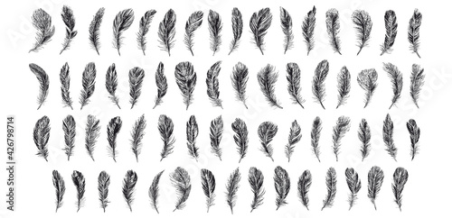Feathers set on white background. Hand drawn sketch style.	