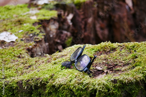 black plastic glasses with reflections in the glasses lie on a moss overgrown tree stump