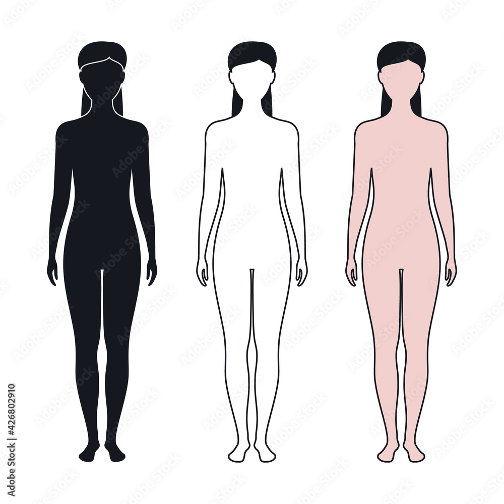 outline, silhouette of woman's body. vector illustration. outline, silhouette of woman's body. vector illustration.