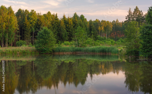 reflection of trees in the lake