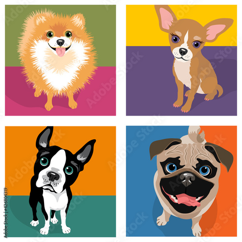 Cartoon caricatures of 4 dog breeds. Pomeranian, Chihuahua, Boston Terrier, Pug. For posters, cards, banners, t-shirts, social media. Vector Illustration.