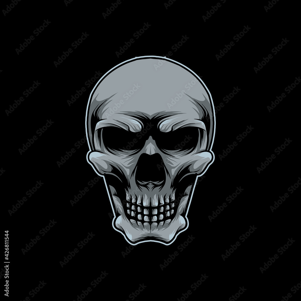 Fototapeta premium skull on black background